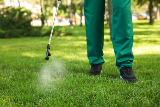 Best Rat Extermination Near Me  in Parker, AZ